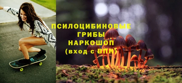 хмурый Алзамай