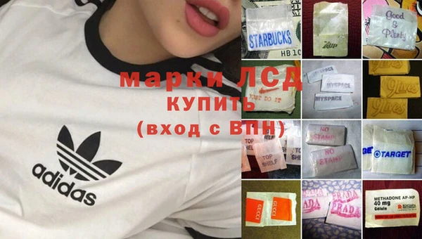 хмурый Алзамай