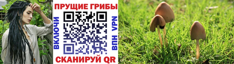 Псилоцибиновые грибы ЛСД  Пролетарск 